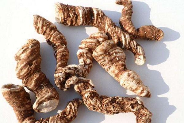 重樓的功效與作用及禁忌 重樓的藥用價值