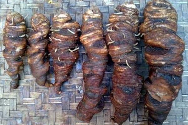 重樓的功效與作用及禁忌 重樓的藥用價值