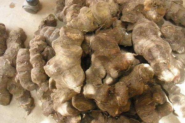 重樓的功效與作用及禁忌 重樓的藥用價值