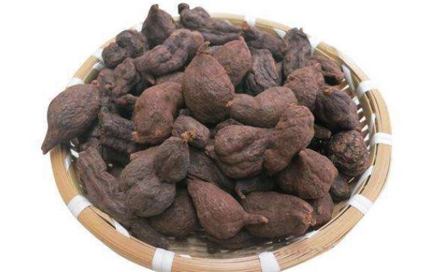 何首烏粉能天天吃嗎 剛挖的何首烏怎么制作