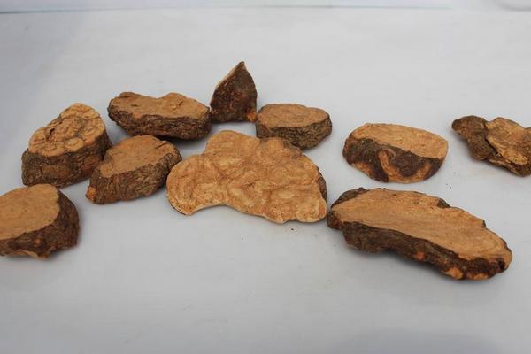 何首烏粉能天天吃嗎 剛挖的何首烏怎么制作