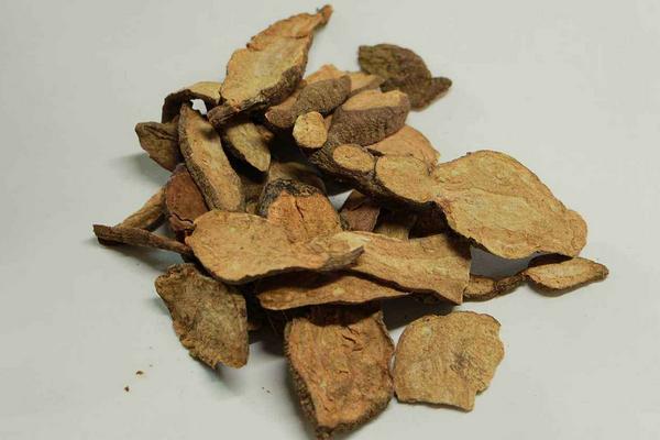 何首烏粉能天天吃嗎 剛挖的何首烏怎么制作