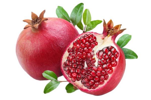 軟籽石榴和普通石榴的區別是什么 軟籽石榴好還是硬籽石榴好