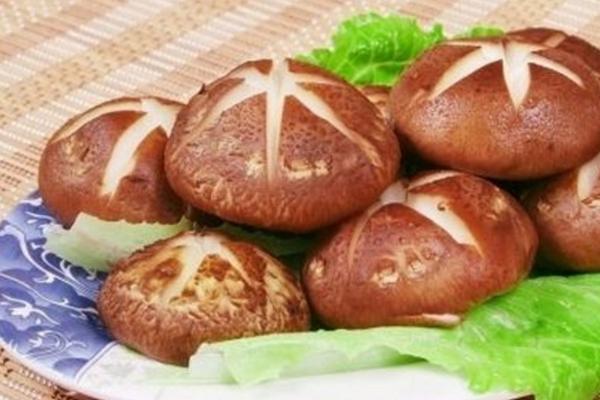 香菇怎么做好吃又簡單 鮮香菇要焯水嗎