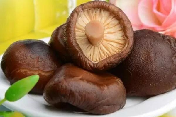 香菇是不是發物 香菇會回奶嗎 