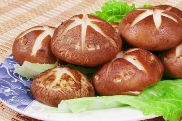 香菇是不是發物 香菇會回奶嗎 