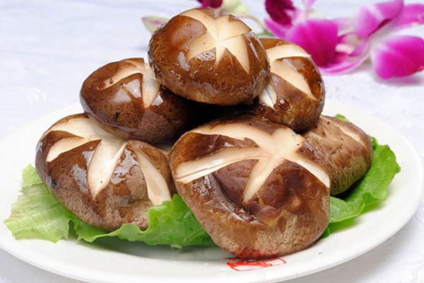 香菇市場(chǎng)價(jià)格多少錢(qián)一斤 香菇哪里產(chǎn)的最好