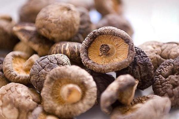 干香菇怎么做好吃又簡單 香菇沒熟透吃了會怎樣