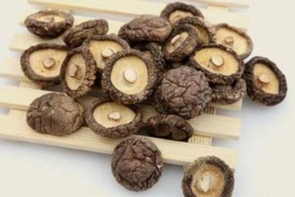 干香菇怎么做好吃又簡單 香菇沒熟透吃了會怎樣