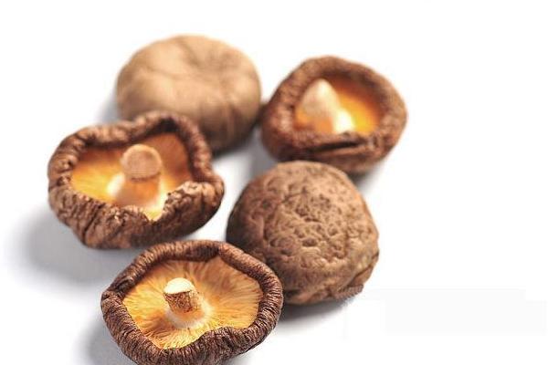 干香菇怎么做好吃又簡單 香菇沒熟透吃了會怎樣