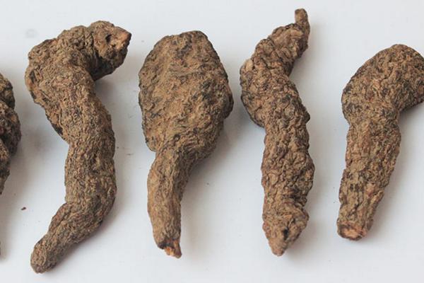 地黃市場價格多少錢一斤 地黃市場前景好嗎