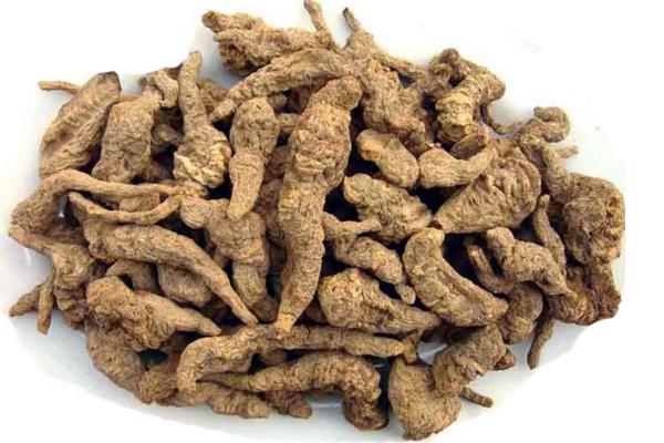 地黃市場價格多少錢一斤 地黃市場前景好嗎