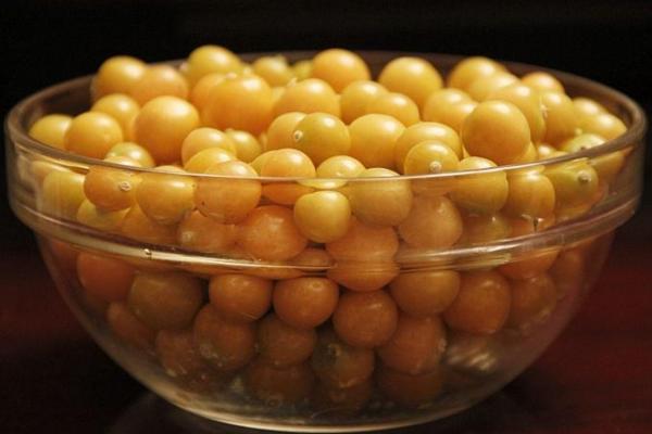 燈籠果市場價格多少錢一斤 燈籠果產地在哪里