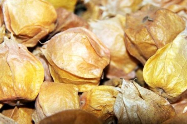 燈籠果市場價格多少錢一斤 燈籠果產地在哪里