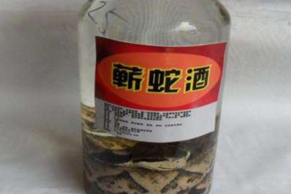 五步蛇酒的功效與作用及禁忌 五步蛇酒怎么泡