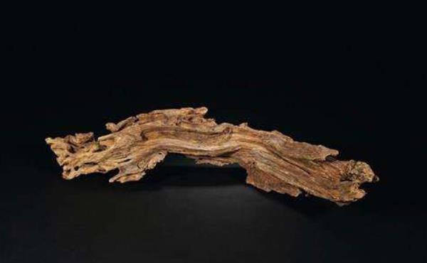 沉香木有幾種 沉香木值錢嗎