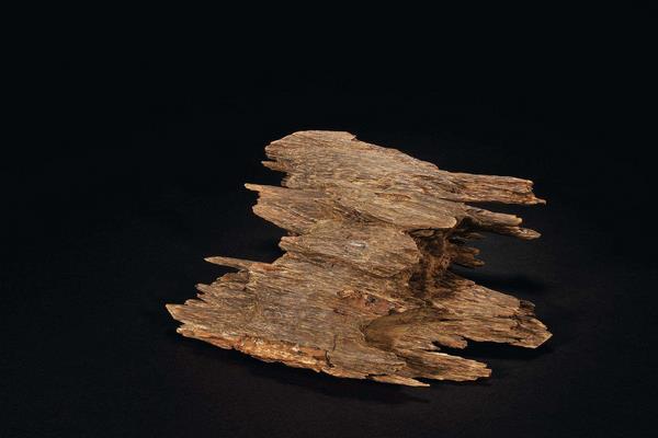 沉香木有幾種 沉香木值錢嗎