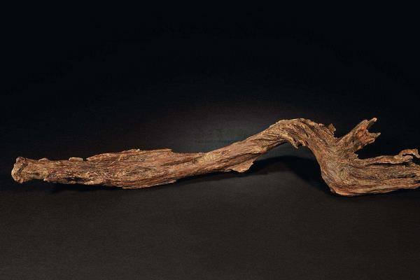 沉香木有幾種 沉香木值錢嗎