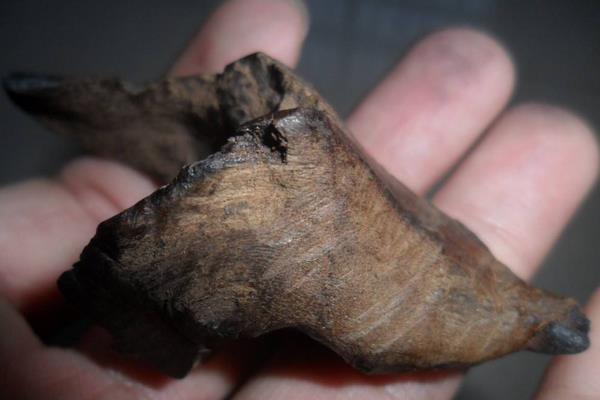 沉香木產地在哪里 沉香木鑒別方法