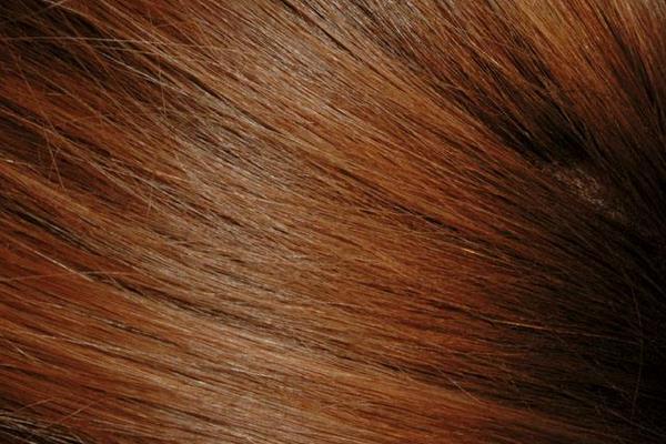 側柏葉洗頭多久洗一次 側柏葉能生發嗎