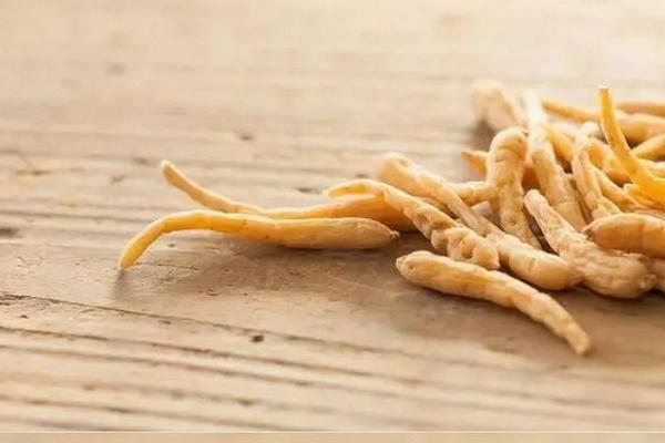 太子參的功效與作用及禁忌 太子參的食用方法