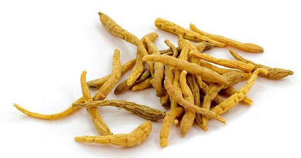 太子參市場價格多少錢一斤 太子參貴嗎