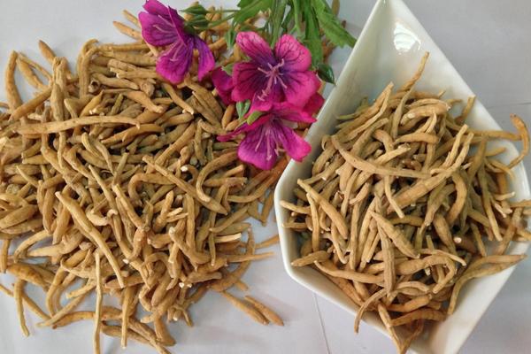 太子參市場價格多少錢一斤 太子參貴嗎