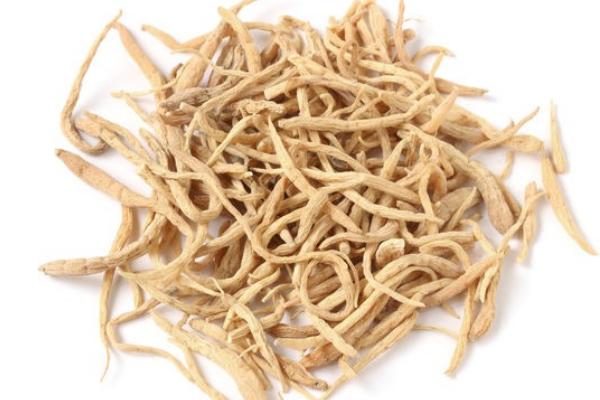 太子參市場價格多少錢一斤 太子參貴嗎