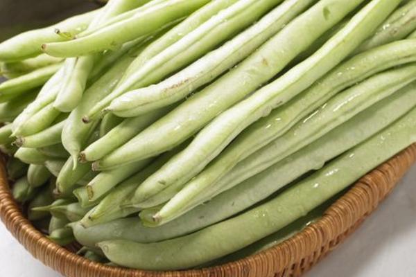 四季豆功效與作用及禁忌 四季豆的營(yíng)養(yǎng)價(jià)值