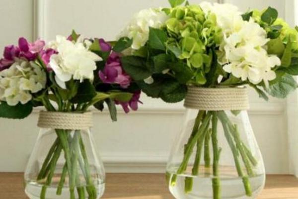 繡球花怎么在花瓶里養 繡球花可以做干花嗎