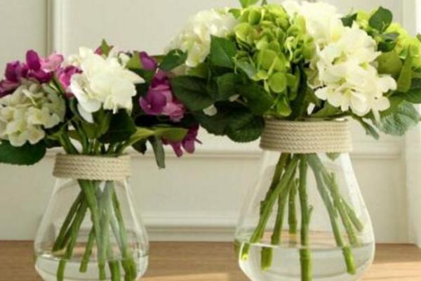 繡球花蔫了怎么辦 繡球花葉子發黃怎么辦