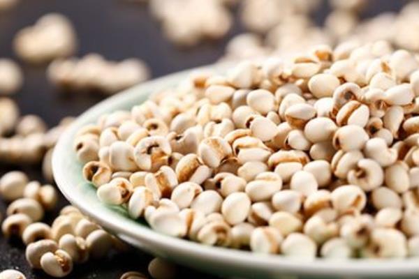 大薏米和小薏米的區別是什么 大薏米和小薏米哪個好