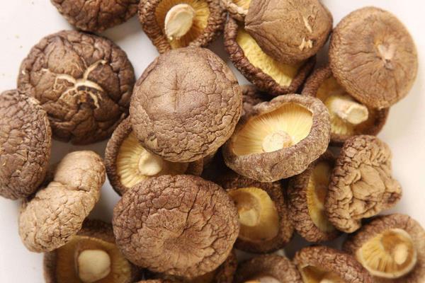 干香菇發霉怎么處理 干香菇長蟲了還能吃嗎