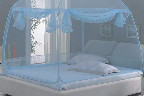 蚊子幾月份出現 蚊子的克星是什么