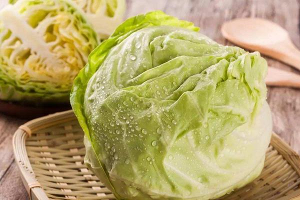 卷心菜熱量是多少 卷心菜可以生吃嗎