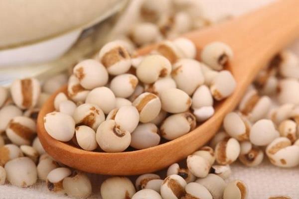 薏米長什么樣 薏米粥怎么做