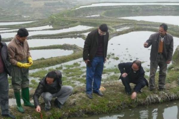 在農(nóng)村做什么生意受人歡迎 看了這三個(gè)項(xiàng)目 你就知道了