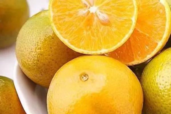 皇帝柑功效與作用及禁忌（上火嗎） 皇帝柑營養價值