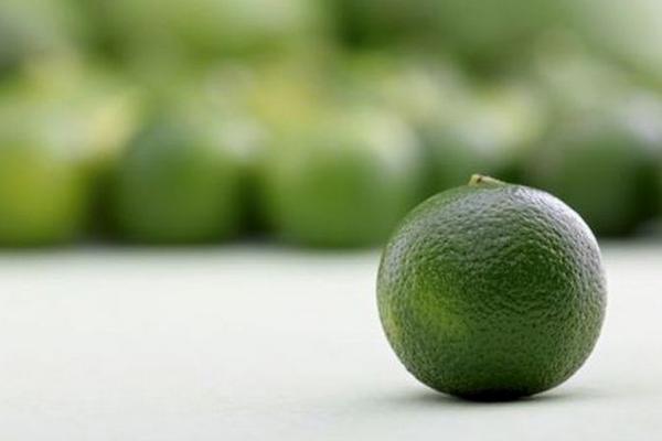 青金桔怎么吃 青金桔的皮可以吃嗎 青金桔的食用方法