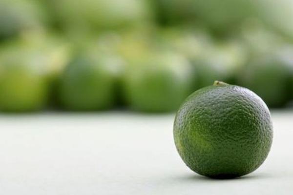 青金桔和金桔的區別是什么 青金桔和黃金桔一樣嗎