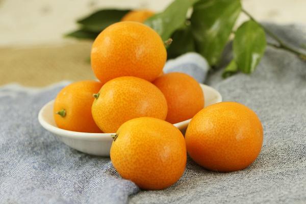 青金桔和金桔的區別是什么 青金桔和黃金桔一樣嗎