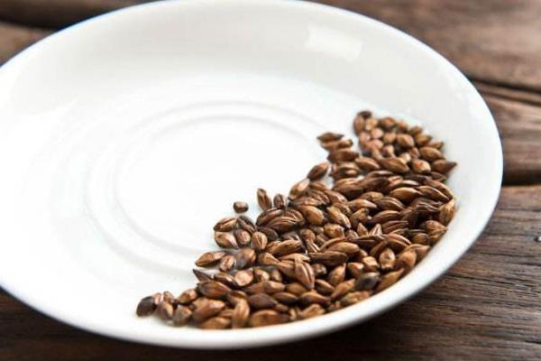 什么人不能喝大麥茶 長期喝大麥茶副作用