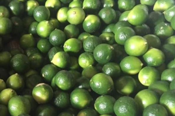 酸柑是什么 酸柑怎么吃(孕婦可以吃嗎)