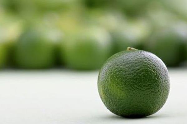 酸柑是什么 酸柑怎么吃(孕婦可以吃嗎)