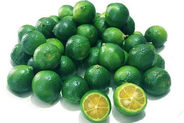 青金桔可以做金桔膏么 金桔膏的功效與作用