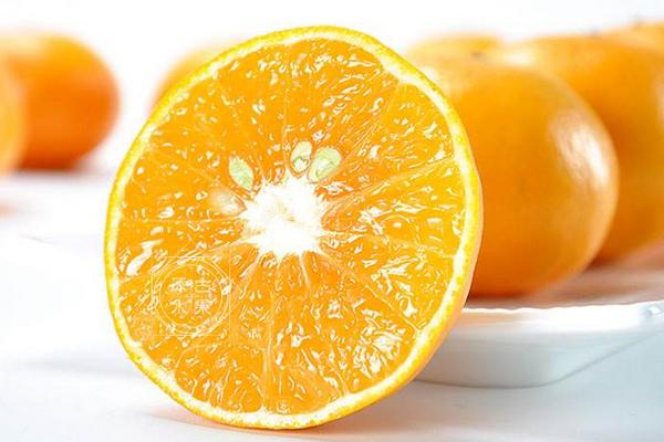 貢柑市場前景怎么樣 種貢柑效益高嗎