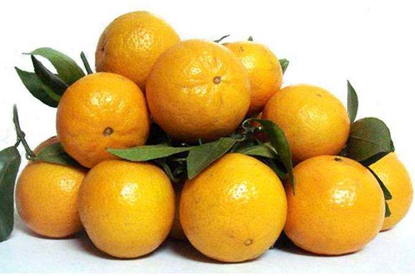 貢柑和皇帝柑的區別是什么 皇帝柑味道怪怪的正常嗎