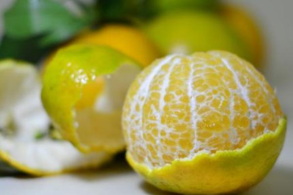 貢柑和皇帝柑的區別是什么 皇帝柑味道怪怪的正常嗎