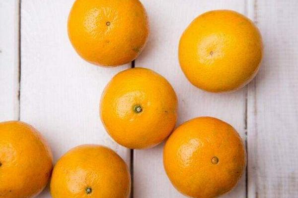 皇帝柑什么時候成熟（幾月上市） 皇帝柑的核能吃嗎