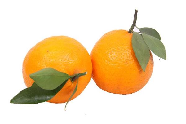 貢柑市場價格多少一斤 貢柑幾月成熟（什么時候上市）